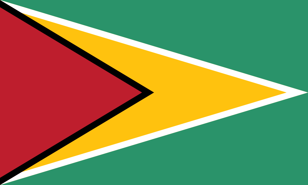 guyana flag