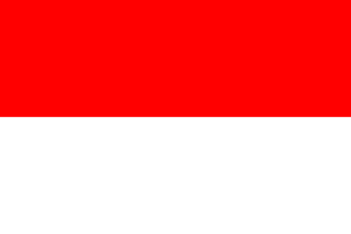 indonisia flag